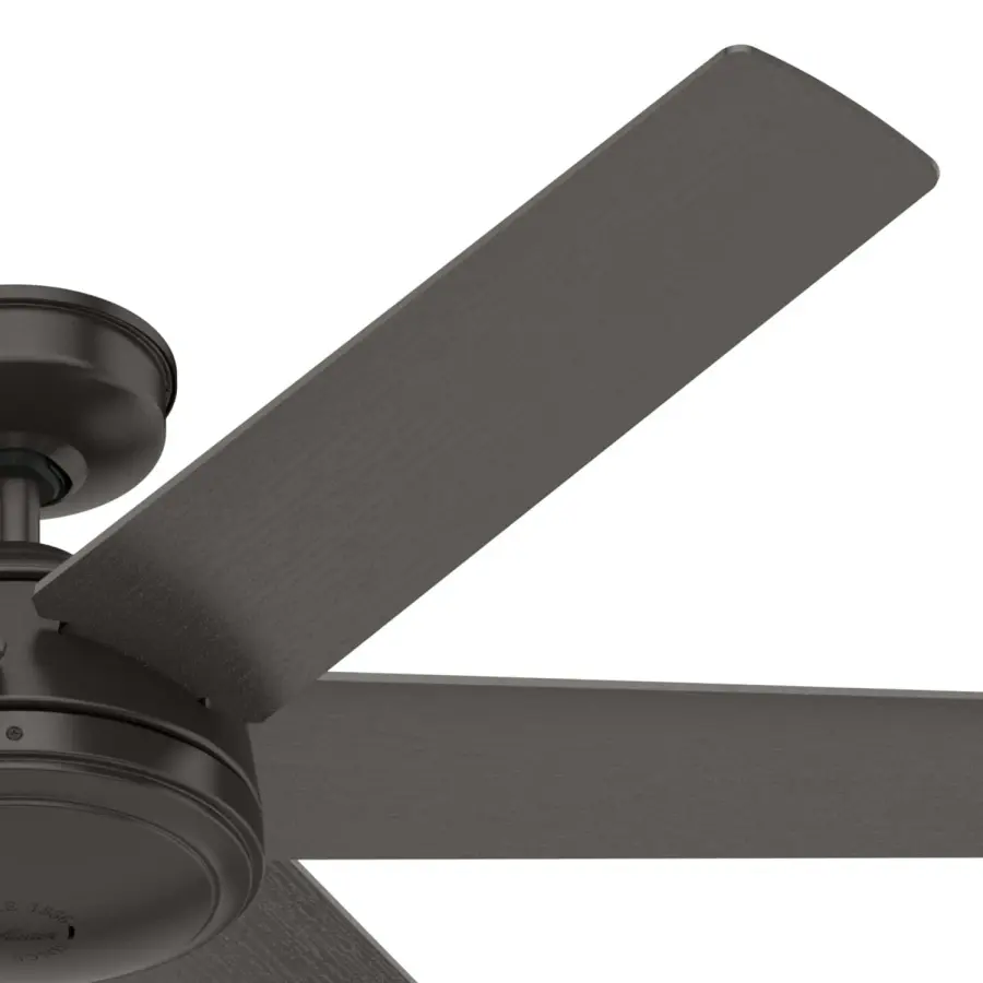 The Ceiling Fans by Hunter - Image 41