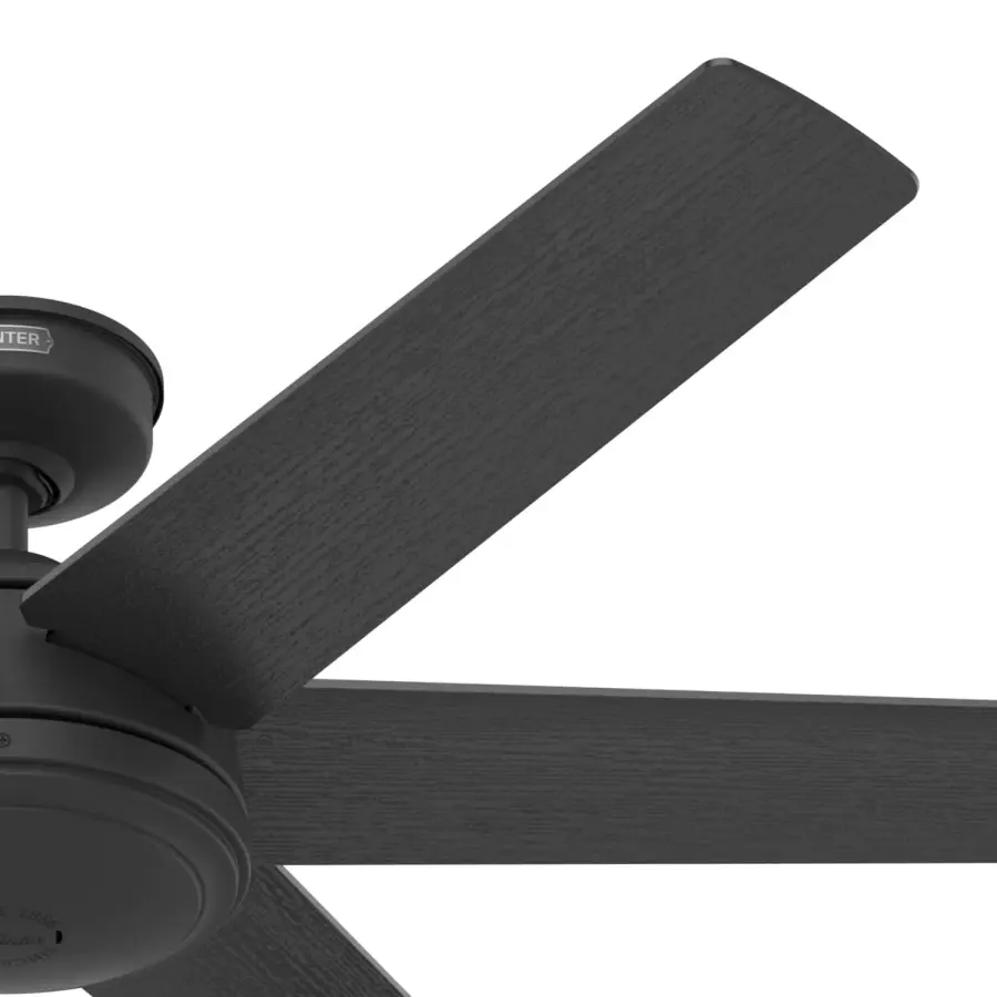 The Ceiling Fans by Hunter - Image 43