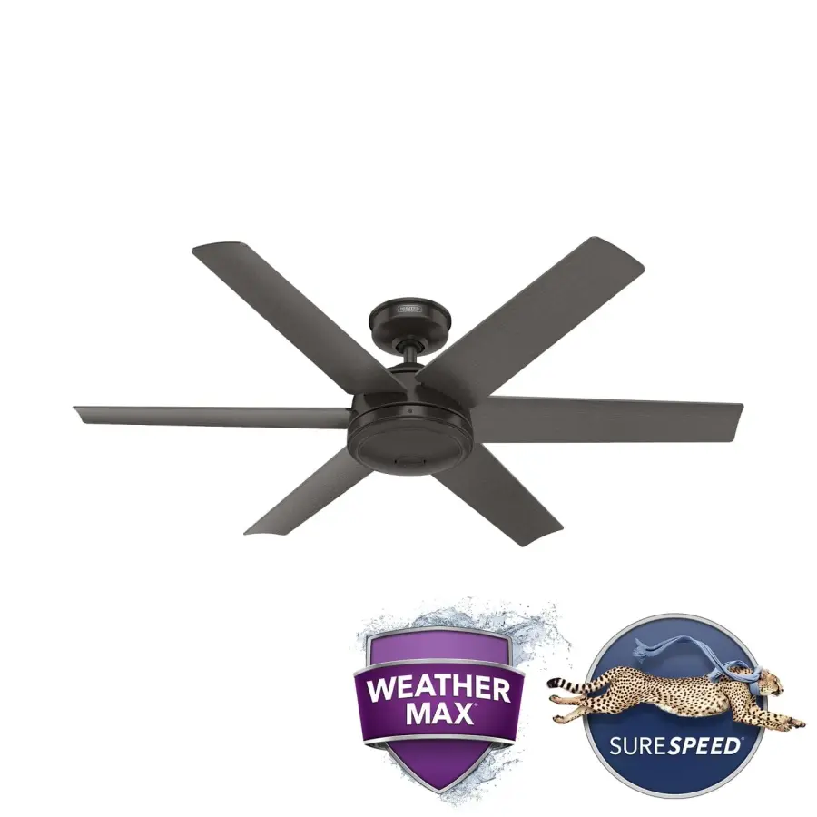 The Ceiling Fans by Hunter - Image 44