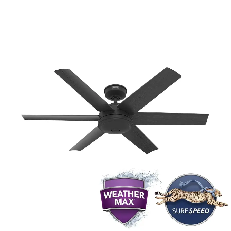 The Ceiling Fans by Hunter - Image 46