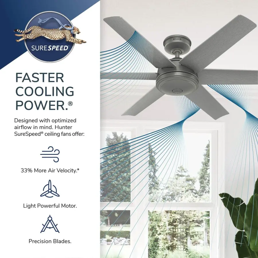 The Ceiling Fans by Hunter - Image 49