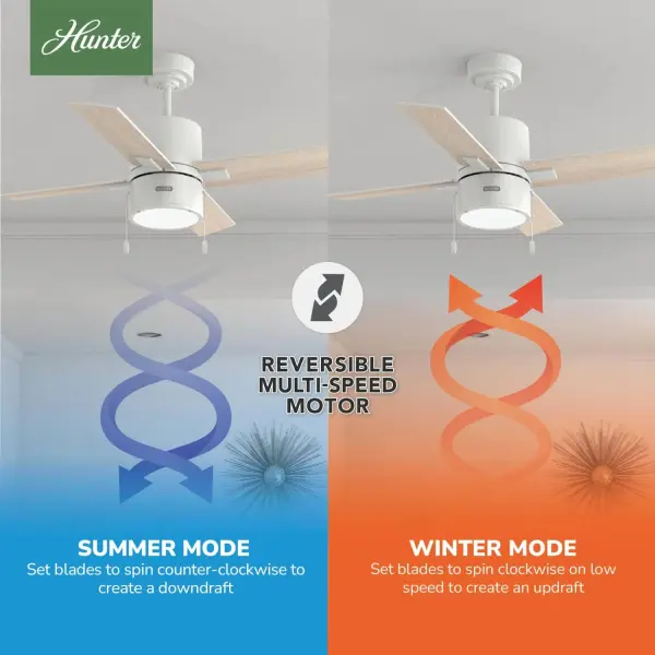 Beck 42" Ceiling Fan with LED Light in Matte Black - Image 20