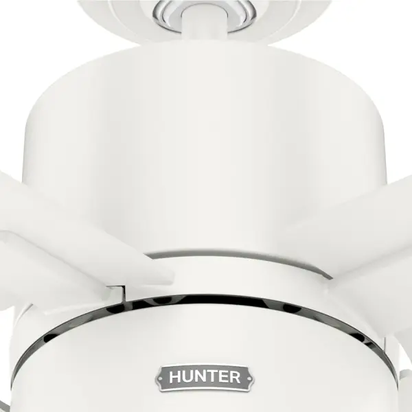 Beck 42" Ceiling Fan with LED Light in Matte Black - Image 35