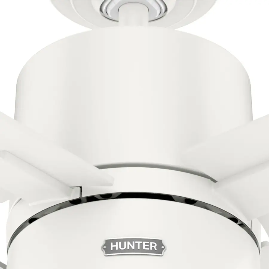 Beck 42" Ceiling Fan with LED Light in Matte Black - Image 35