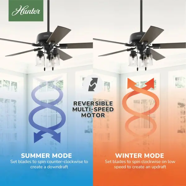 The Ceiling Fans by Hunter - Image 19