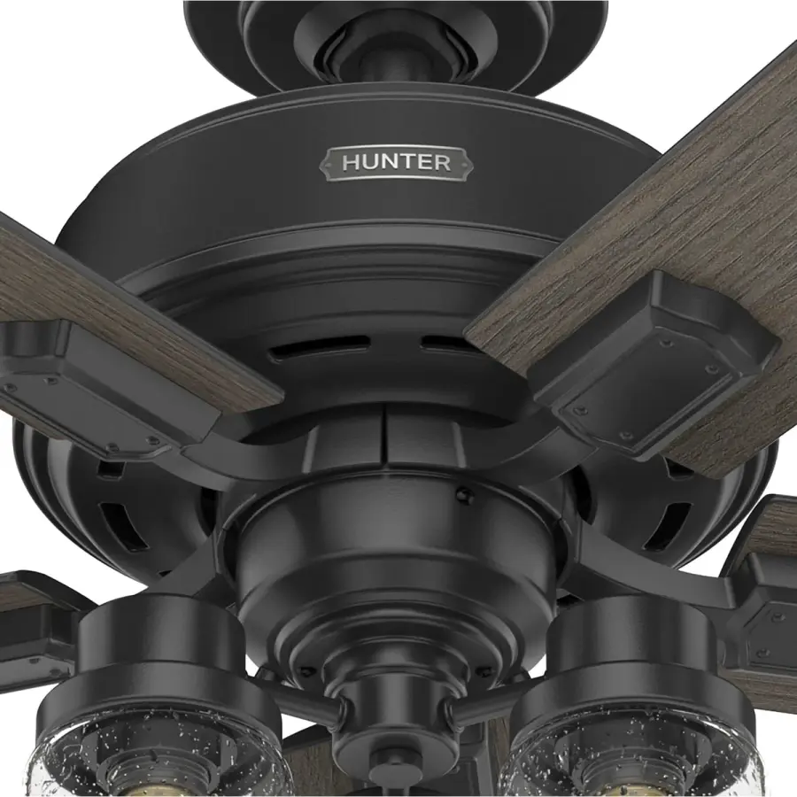The Ceiling Fans by Hunter - Image 34