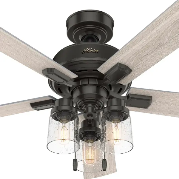 The Ceiling Fans by Hunter - Image 36