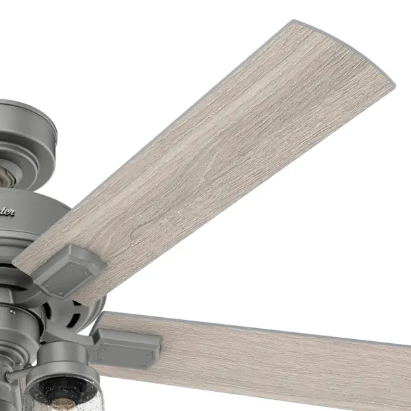 The Ceiling Fans by Hunter - Image 38