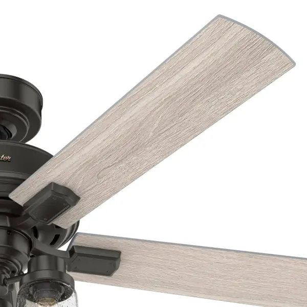 The Ceiling Fans by Hunter - Image 39