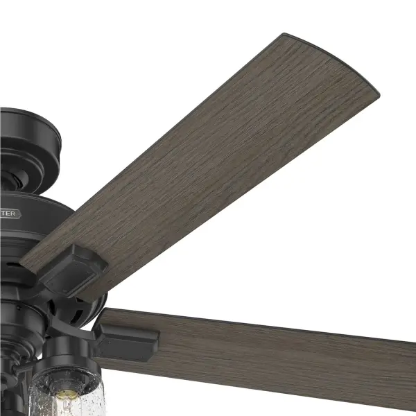 The Ceiling Fans by Hunter - Image 40