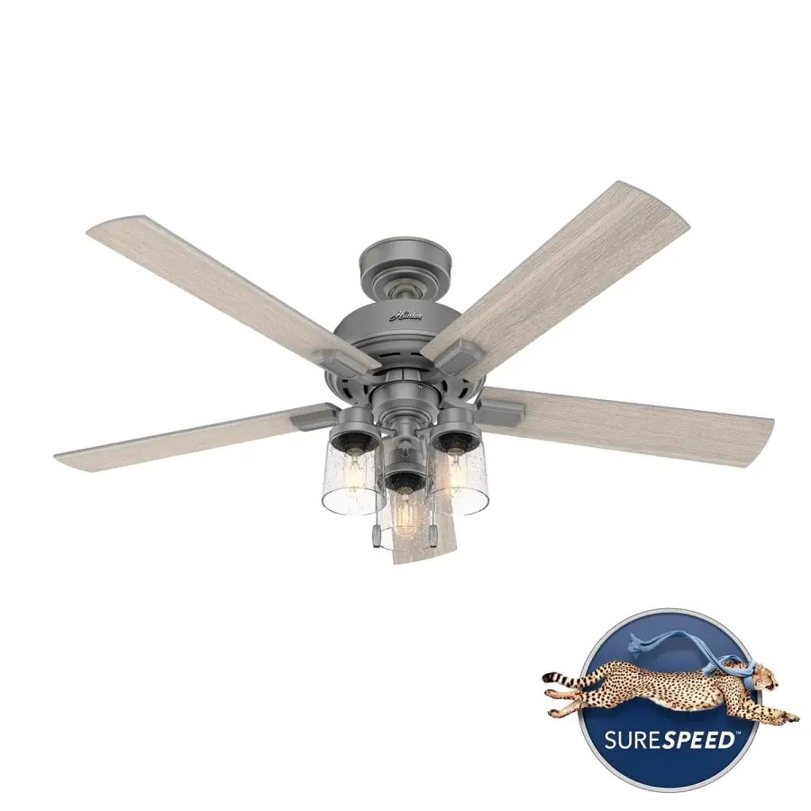 The Ceiling Fans by Hunter - Image 41