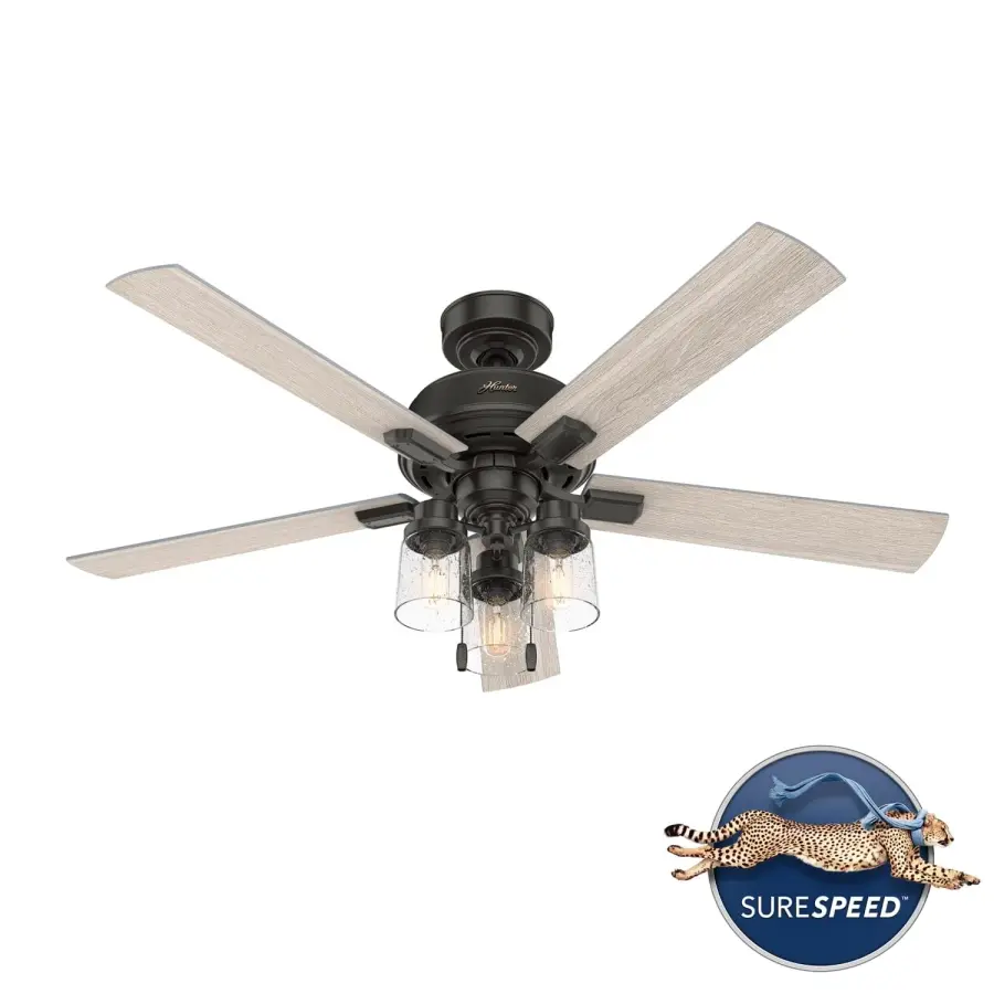 The Ceiling Fans by Hunter - Image 42