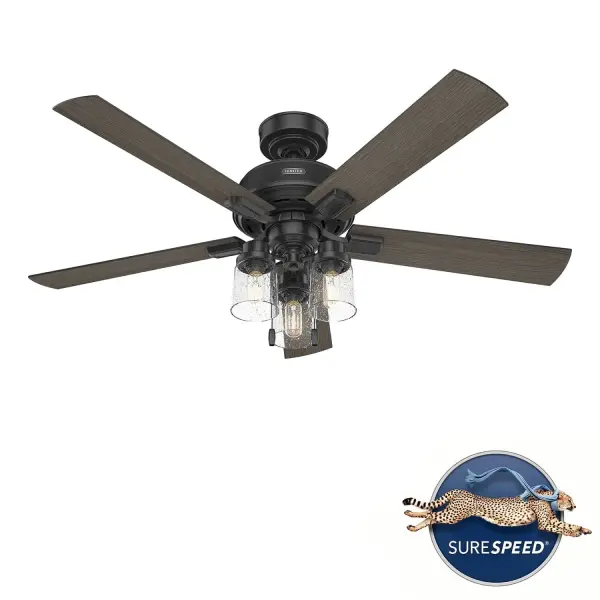 The Ceiling Fans by Hunter - Image 43