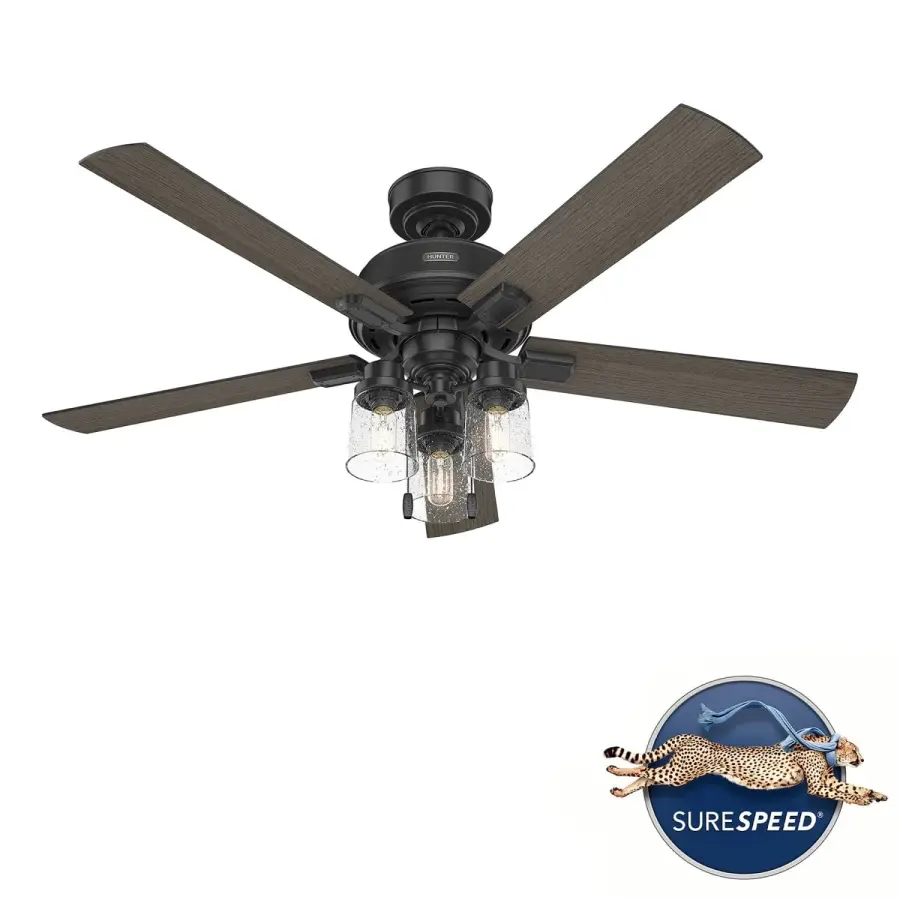 The Ceiling Fans by Hunter - Image 43