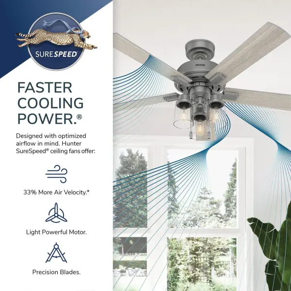 The Ceiling Fans by Hunter - Image 45