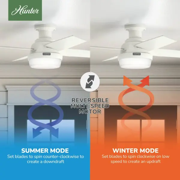 Dempsey Low Profile with Light 44 inch - Image 32