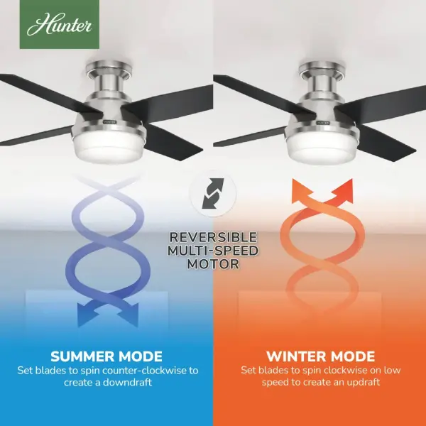 Dempsey Low Profile with Light 44 inch - Image 33