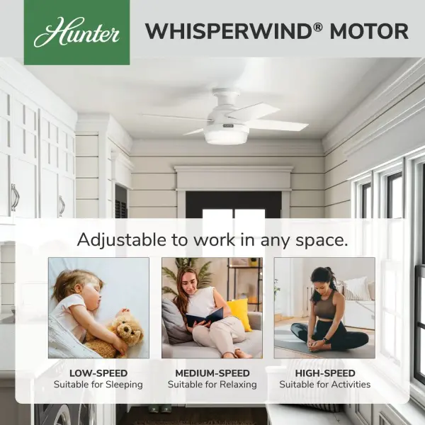 Dempsey Low Profile with Light 44 inch - Image 99