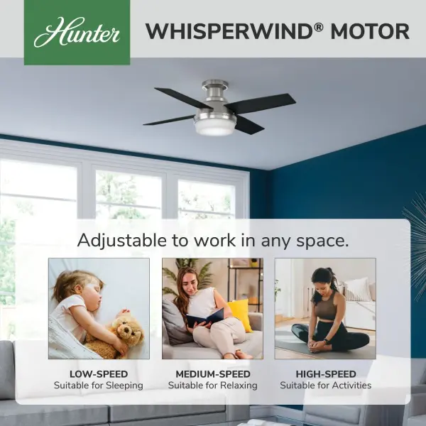 Dempsey Low Profile with Light 44 inch - Image 100