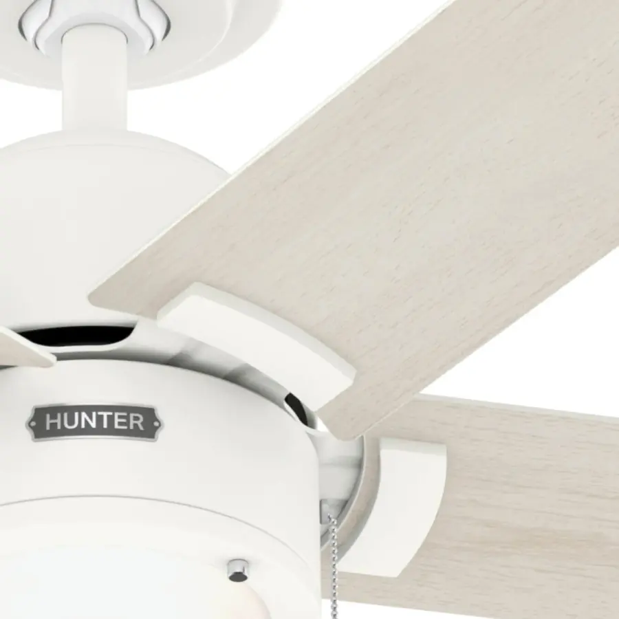 The Ceiling Fans by Hunter - Image 18