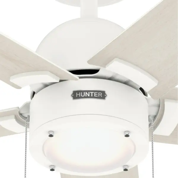 The Ceiling Fans by Hunter - Image 20