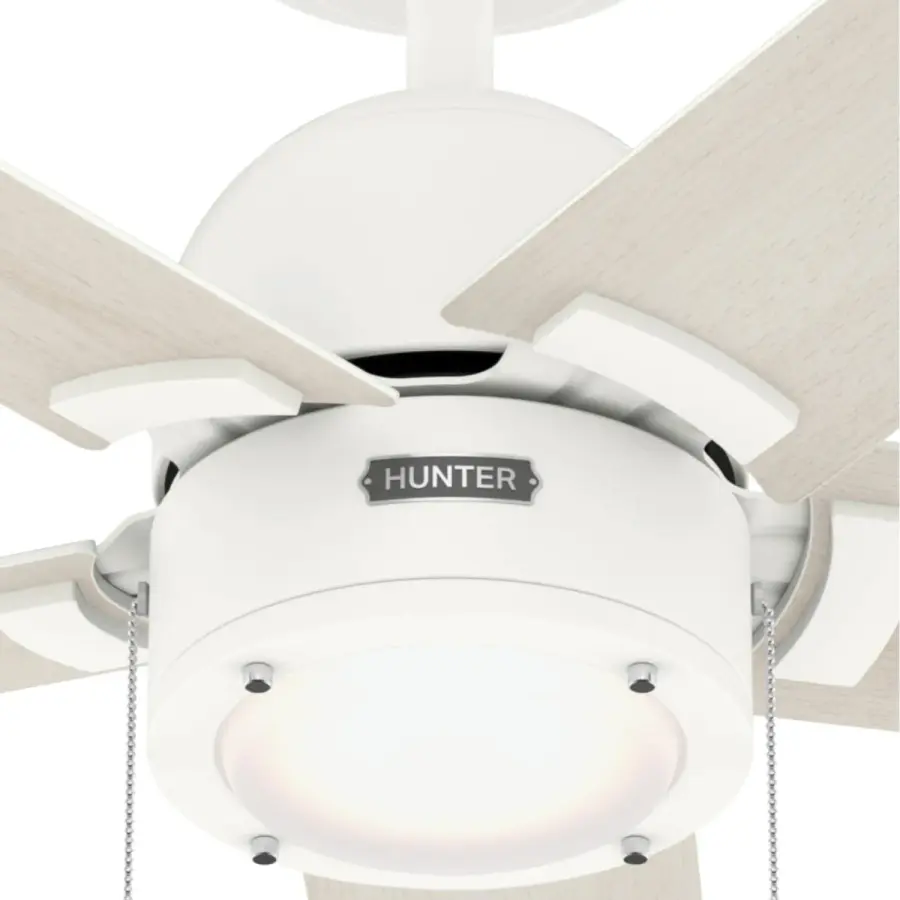 The Ceiling Fans by Hunter - Image 20