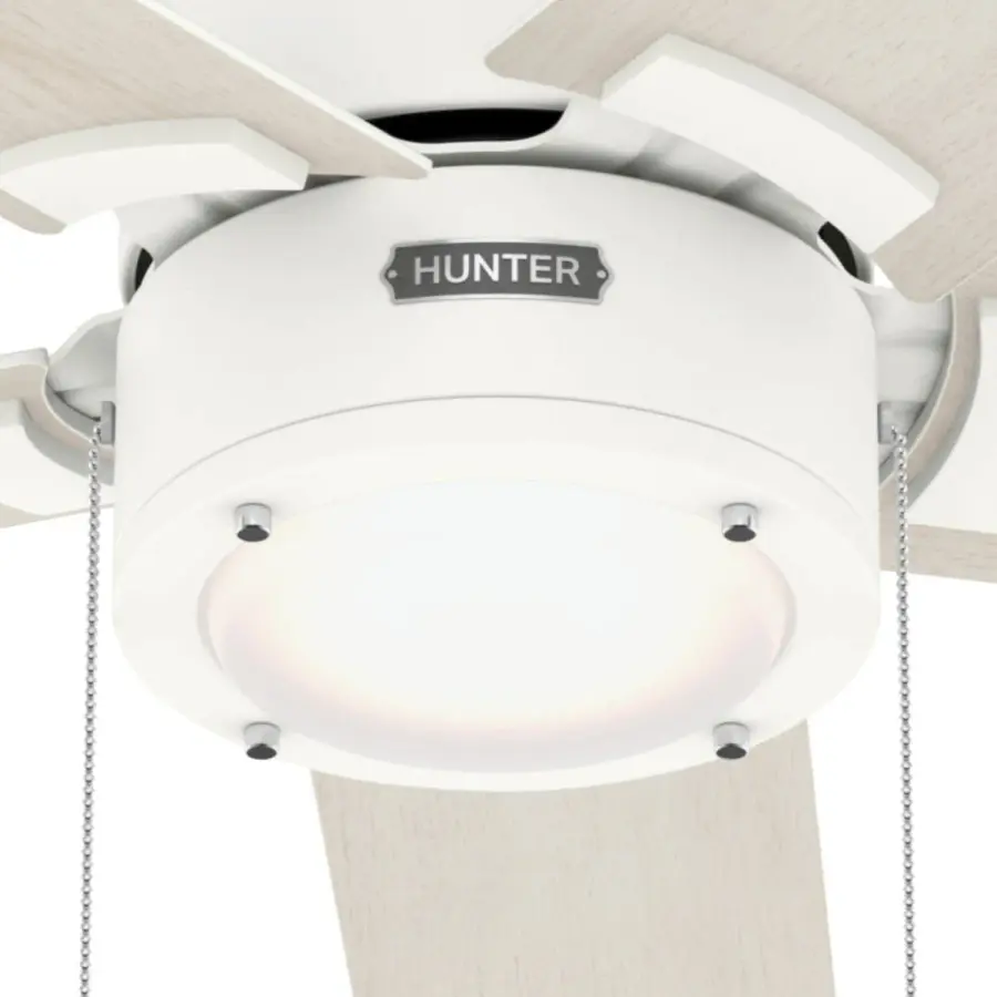 The Ceiling Fans by Hunter - Image 22