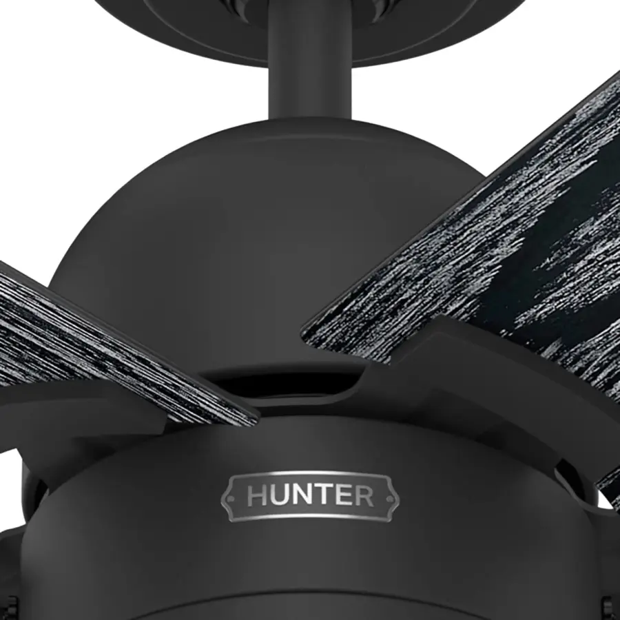 The Ceiling Fans by Hunter - Image 23