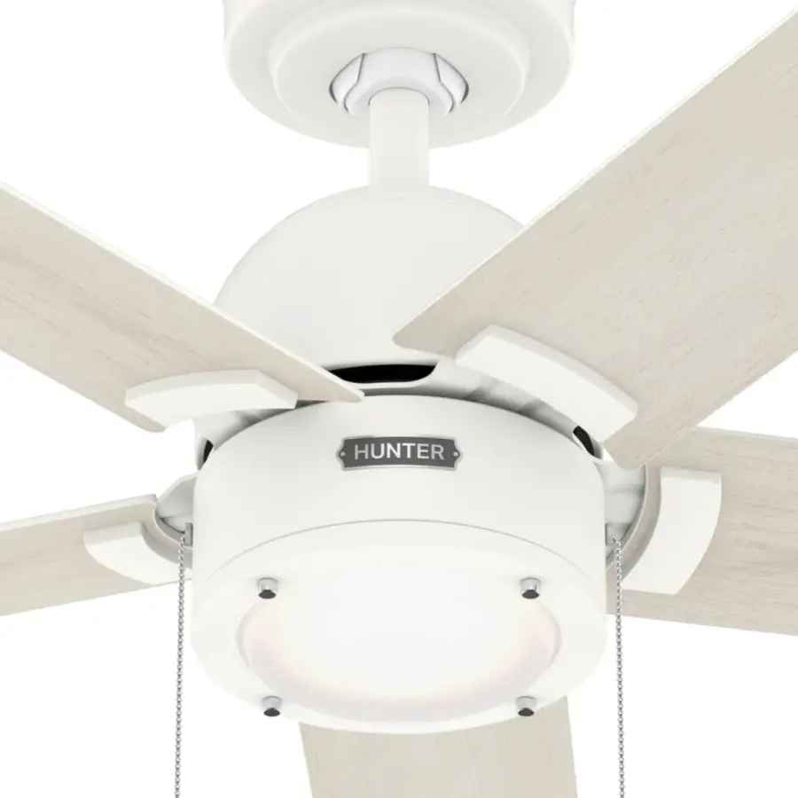 The Ceiling Fans by Hunter - Image 24