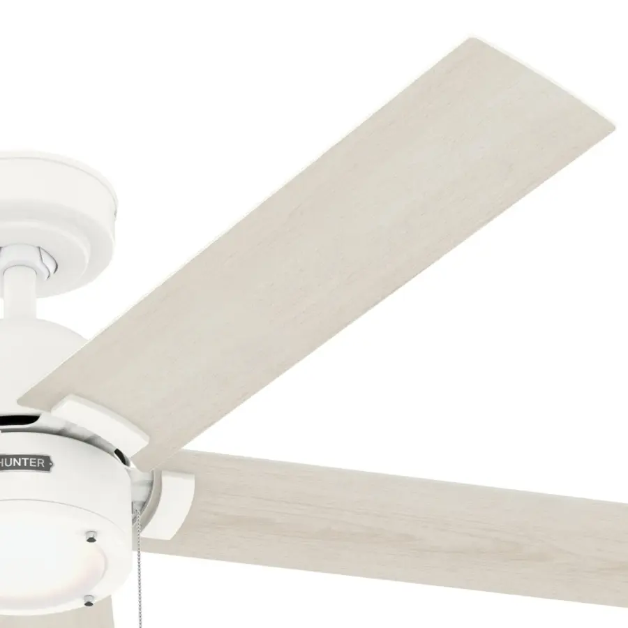 The Ceiling Fans by Hunter - Image 26