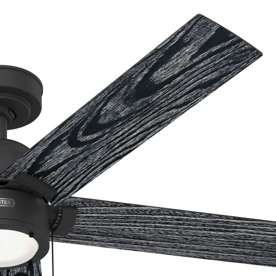 The Ceiling Fans by Hunter - Image 27