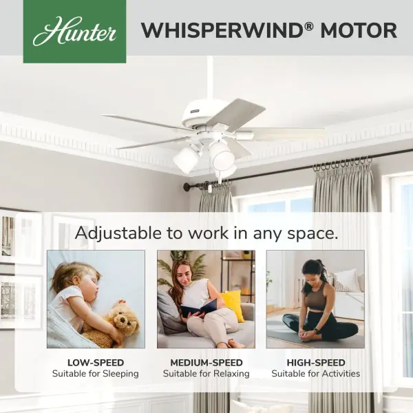 Crystal Peak with 3 Lights 44 inch - Image 60