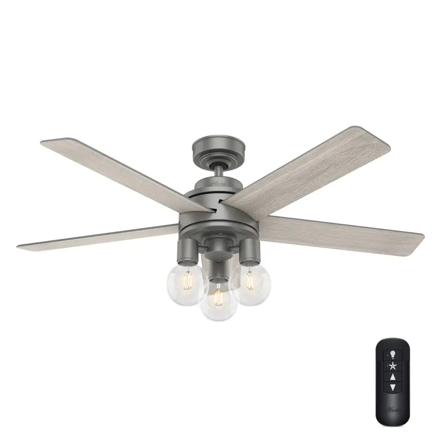 The Ceiling Fans by Hunter - Image 1