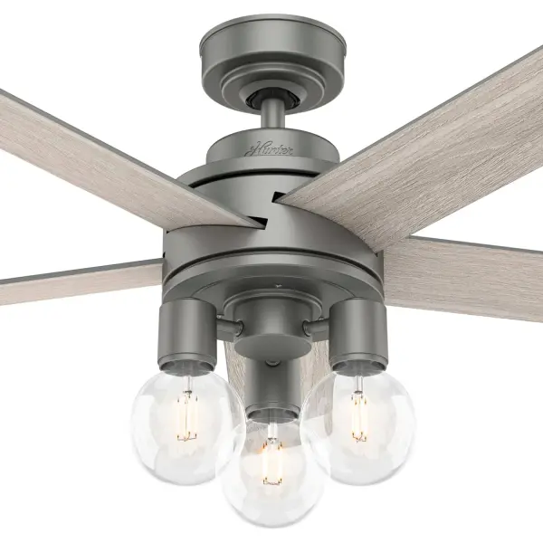 The Ceiling Fans by Hunter - Image 11