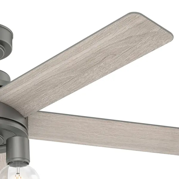 The Ceiling Fans by Hunter - Image 12