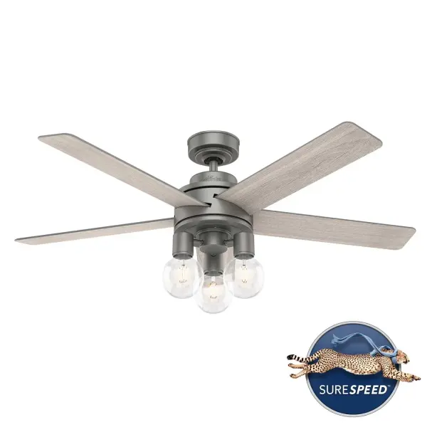 The Ceiling Fans by Hunter - Image 13