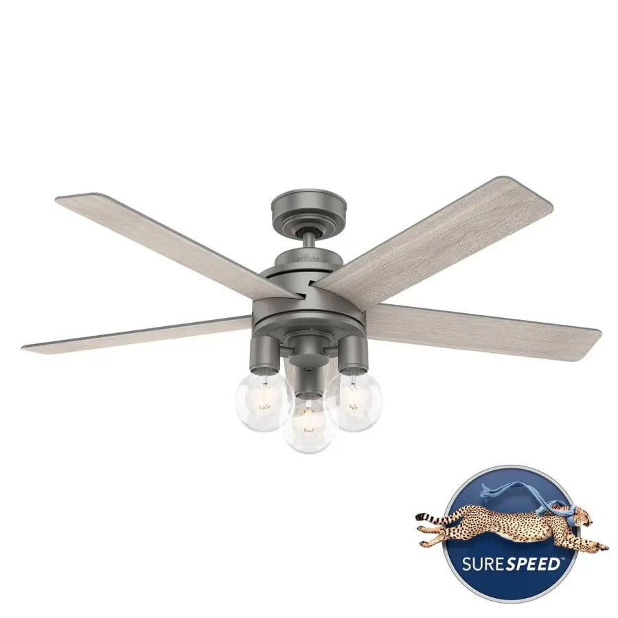 The Ceiling Fans by Hunter - Image 13