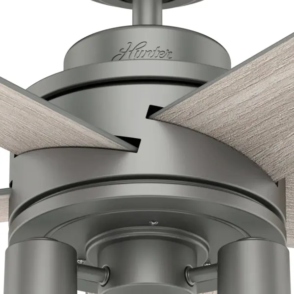 The Ceiling Fans by Hunter - Image 10
