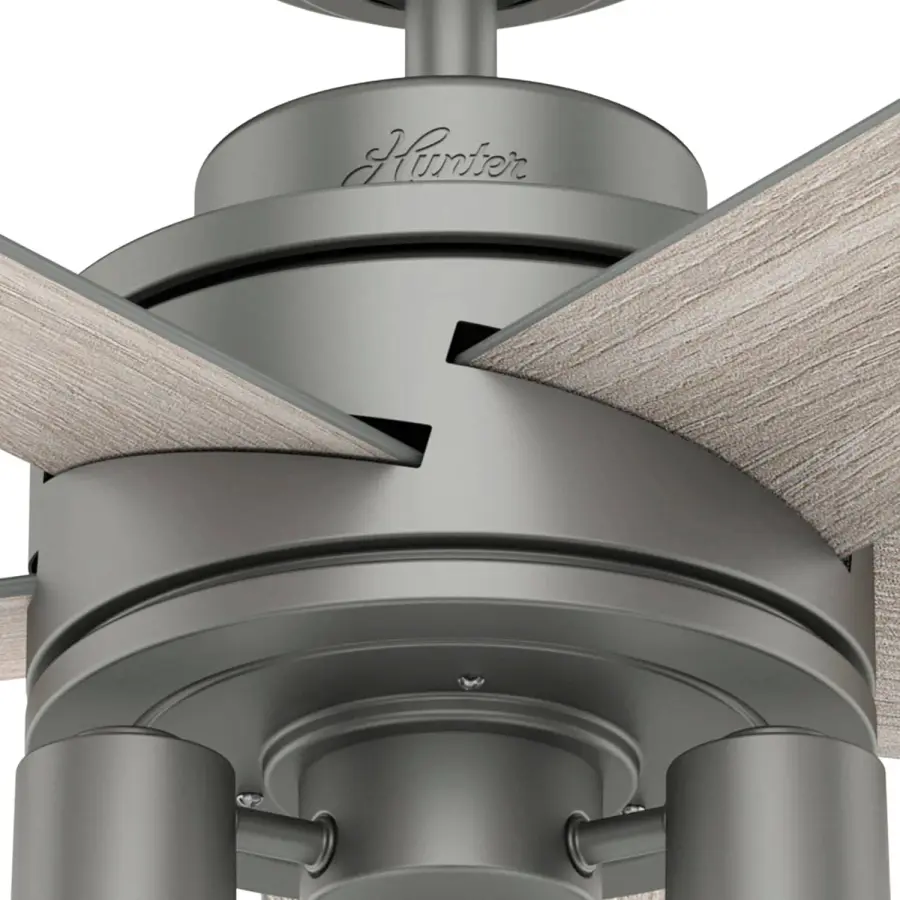 The Ceiling Fans by Hunter - Image 10