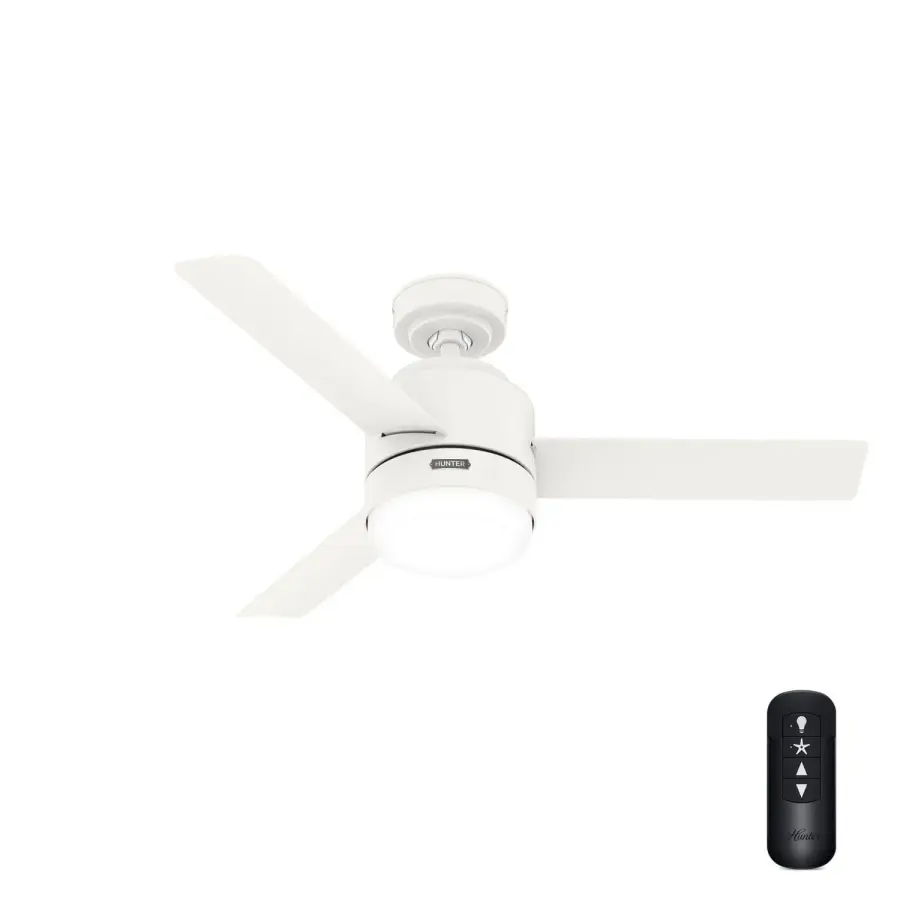 The Ceiling Fans by Hunter - Image 2