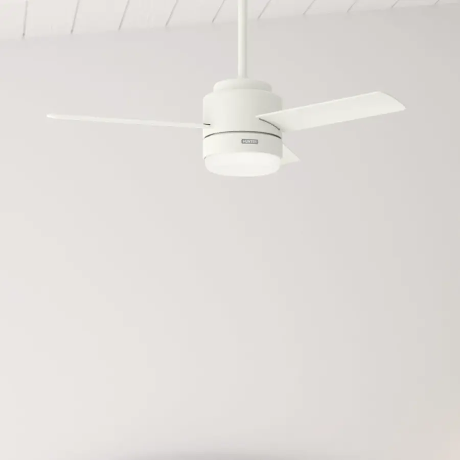 The Ceiling Fans by Hunter - Image 11