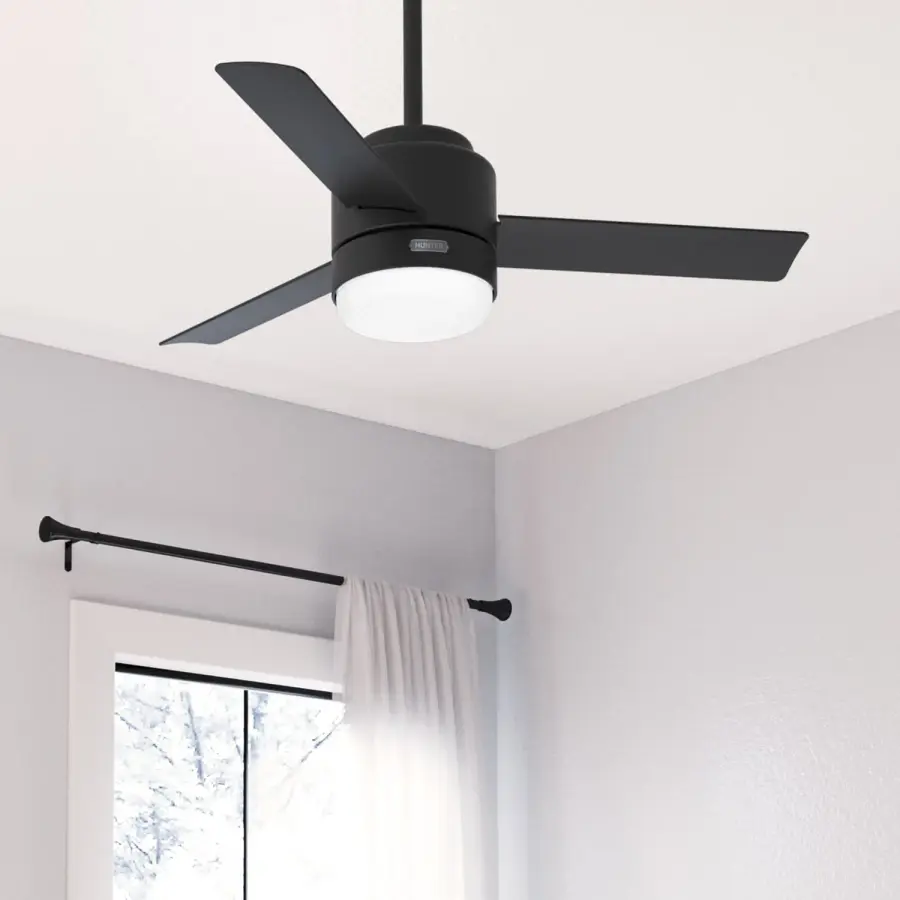 The Ceiling Fans by Hunter - Image 12