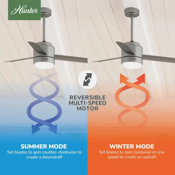 The Ceiling Fans by Hunter - Image 17