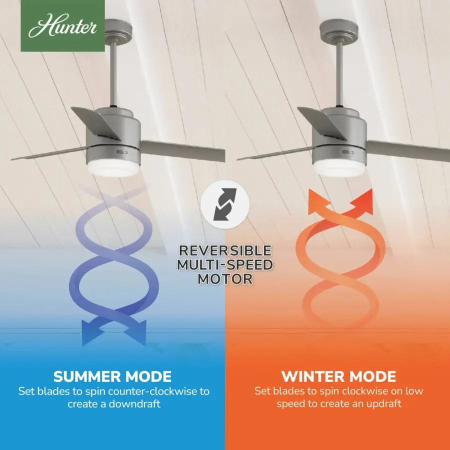 The Ceiling Fans by Hunter - Image 17