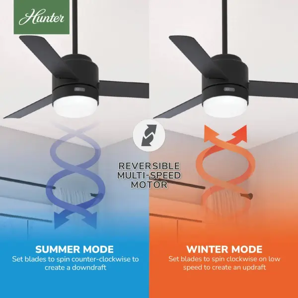 The Ceiling Fans by Hunter - Image 19