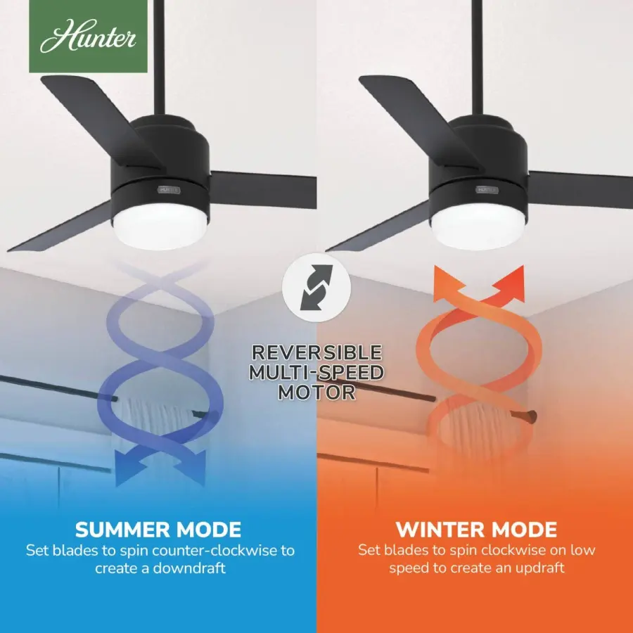 The Ceiling Fans by Hunter - Image 19