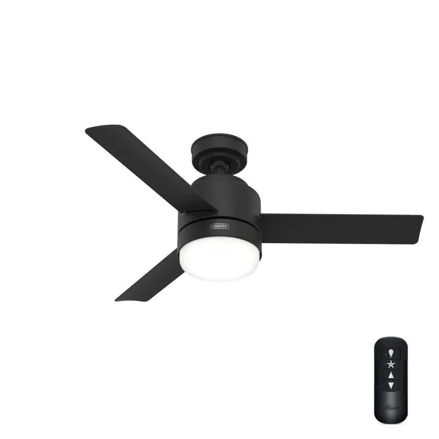 The Ceiling Fans by Hunter - Image 3