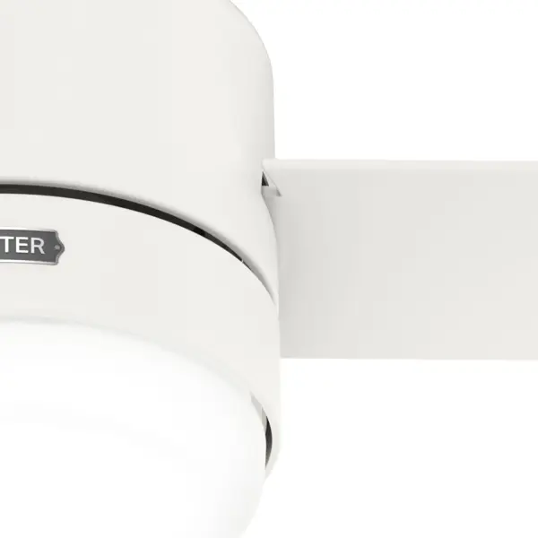 The Ceiling Fans by Hunter - Image 33