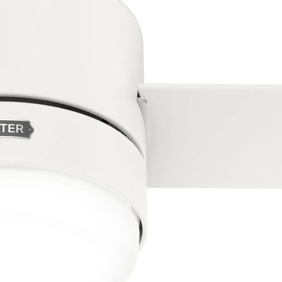 The Ceiling Fans by Hunter - Image 33