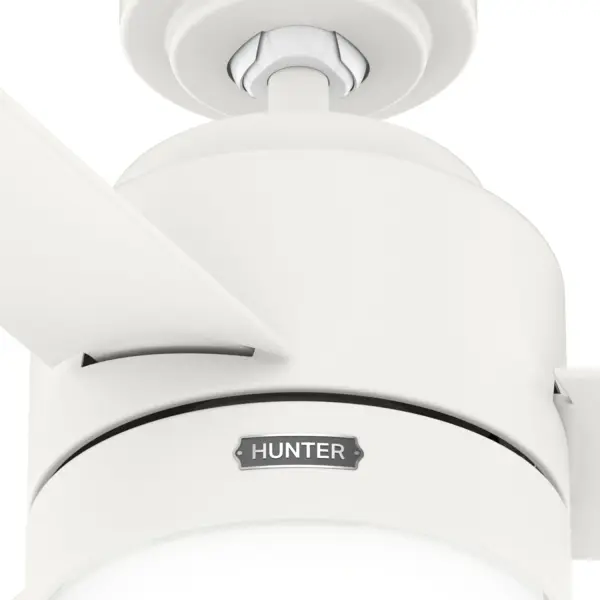 The Ceiling Fans by Hunter - Image 36